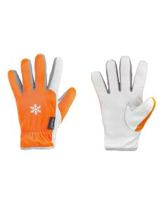 Handschuhe "Groeden"